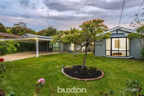 Property photo of 11 Braemar Court Newtown VIC 3220