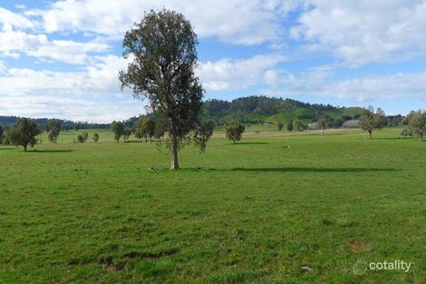 Property photo of 19 Beartooth Place Tangambalanga VIC 3691