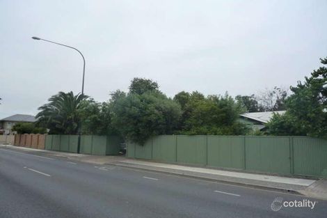 529 South Rd, Ashford, SA 5035