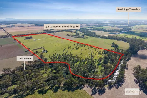 421 Laanecoorie-Newbridge Rd, Newbridge, VIC 3551
