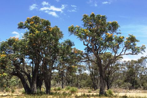 4631 Scotts Brook Rd, Mobrup, WA 6395