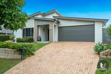 Property photo of 5 Amalia Street Birkdale QLD 4159