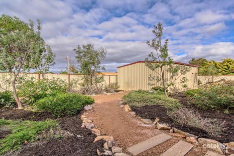 Property photo of 31 Country Road Pinjarra WA 6208