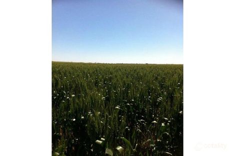 2/1 Abattoirs Rd, Port Pirie South, SA 5540