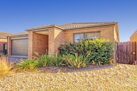 Property photo of 24 Kingbird Avenue Tarneit VIC 3029