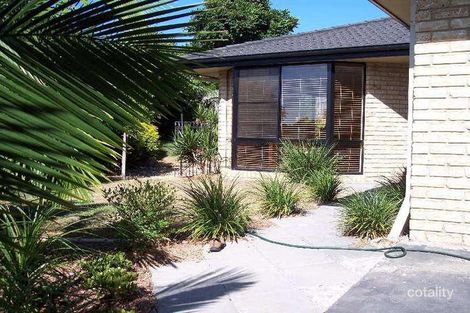 Property photo of 14 Glendale Crescent Ocean Shores NSW 2483