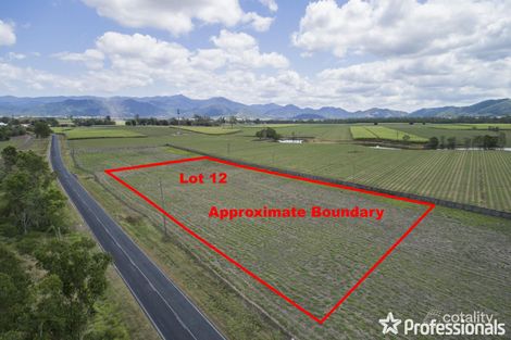 Lot 12/4206 Mackay-Eungella Rd, Pinnacle, QLD 4741