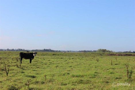 Property photo of 280 Martins Wharf Road Millers Forest NSW 2324