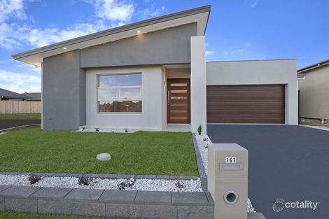 161 Springs Rd, Spring Farm, NSW 2570