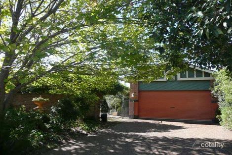 Property photo of 6 Belah Place Singleton NSW 2330