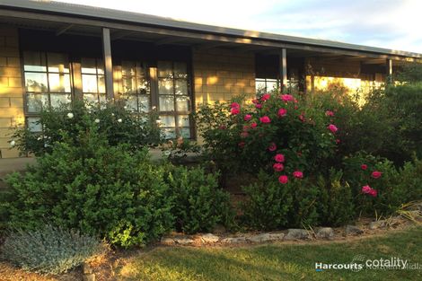 Property photo of 29 Waterloo Street Ross TAS 7209