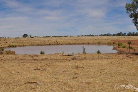 Property photo of 196 Old Mill Road Balladoran NSW 2822