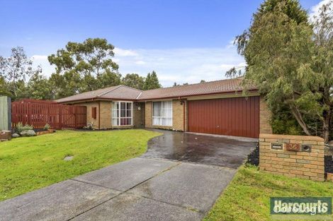Property photo of 36 Mont Court Vermont South VIC 3133
