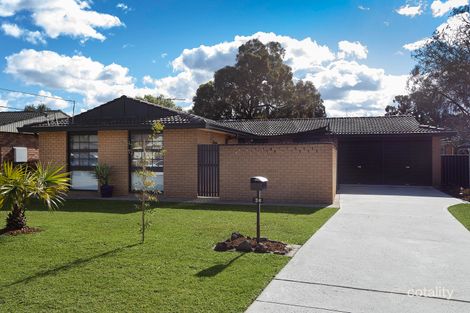 36 Archibald St, Padstow, NSW 2211