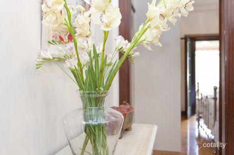 Property photo of 14 Lapish Avenue Ashfield NSW 2131