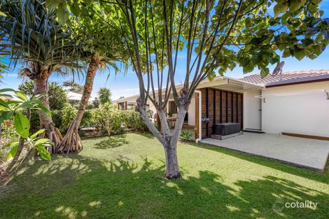 Property photo of 48 Point Cartwright Drive Buddina QLD 4575