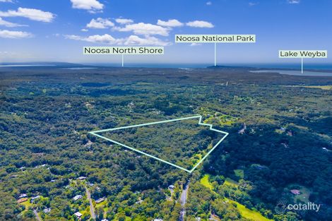 Property photo of 1170 Eumundi Noosa Road Verrierdale QLD 4562