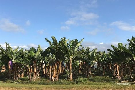 Property photo of 1 McCowatt Road Eubenangee QLD 4860