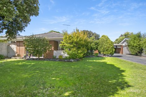 142 Powell St, Ocean Grove, VIC 3226