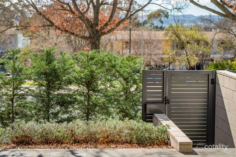 16/56 Stuart St, Griffith, ACT 2603