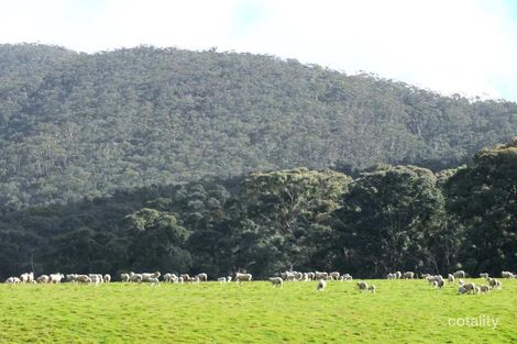 19a Mountain Hut Rd, Amphitheatre, VIC 3468