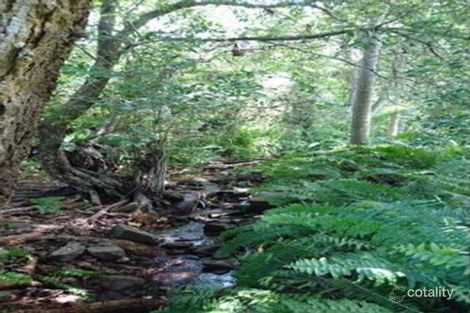 Property photo of 4 Heathwood Court Hampden QLD 4741