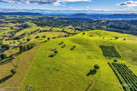 1696 Beechmont Rd, Beechmont, QLD 4211