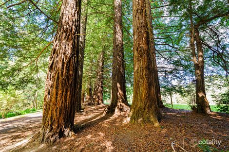 Property photo of 21 River Road Millgrove VIC 3799