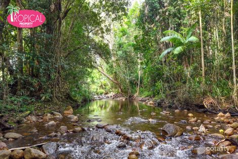 Property photo of 400 Appleyard Road Bilyana QLD 4854