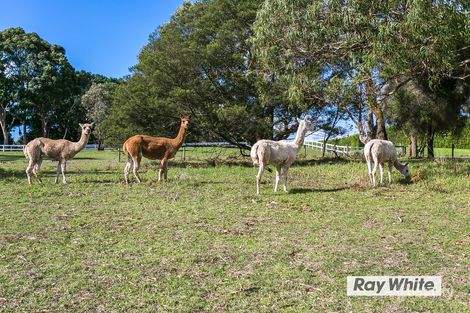 Property photo of 130 Browns Road Boneo VIC 3939