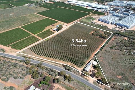 24 Dalziel Rd, Glossop, SA 5344