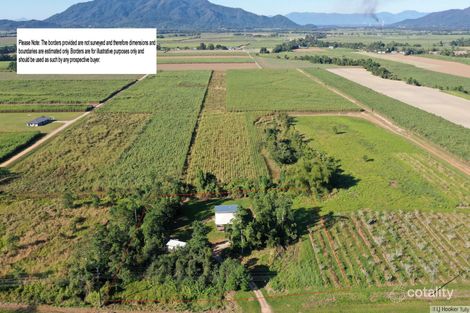 752 Old Tully Rd, Djarawong, QLD 4854