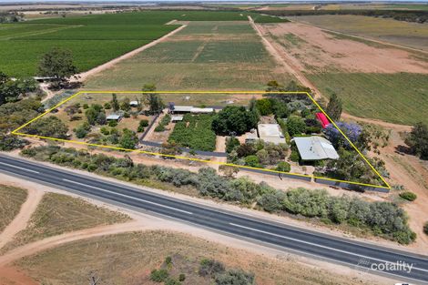 Property photo of 94 Kingston Road Kingston On Murray SA 5331
