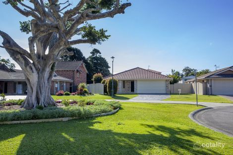 19 Fig Tree Ct, Forster, NSW 2428