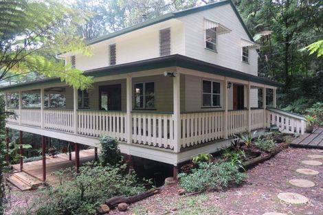 2199 Springbrook Rd, Springbrook, QLD 4213