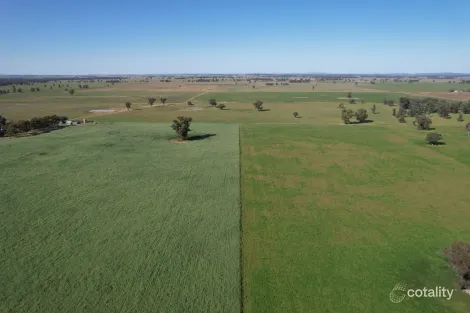 1715 The Bogan Way, Nelungaloo, NSW 2876