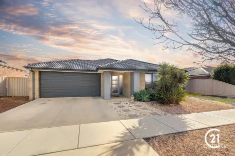 Property photo of 31 Cleary Street Echuca VIC 3564
