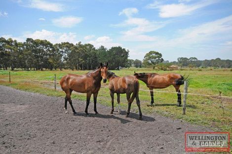 Property photo of 11 Pearson Place Gledhow WA 6330