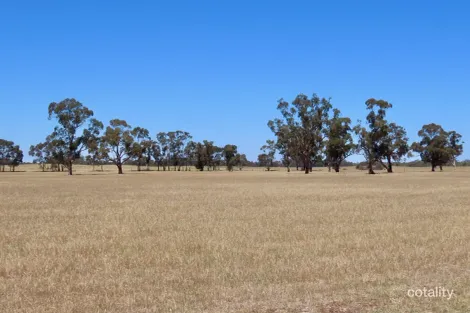 505 Bangham Rd, Custon, SA 5269