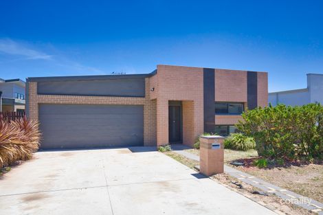 Property photo of 25 Aida Ball Circuit Forde ACT 2914