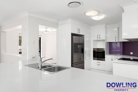 Property photo of 3 Figtree Close Medowie NSW 2318