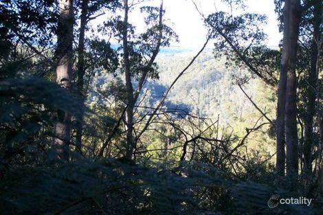 264 East Yolla Rd, Yolla, TAS 7325