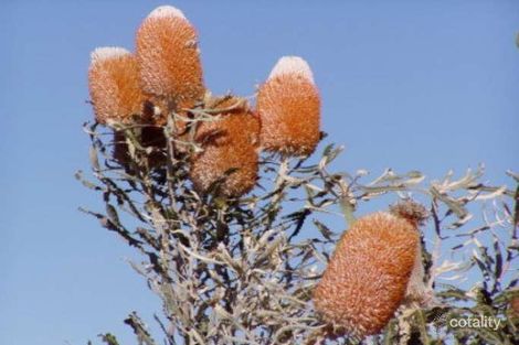 48 Kitchener Rd, Merredin, WA 6415