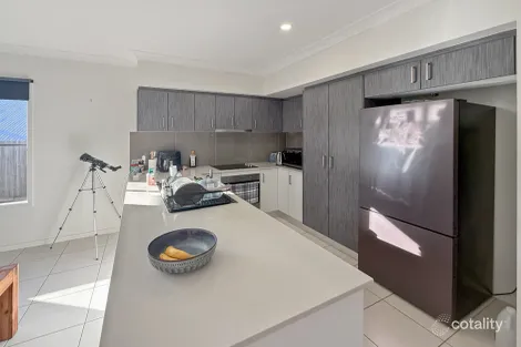 Property photo of 45 Cooper Way Spring Mountain QLD 4300