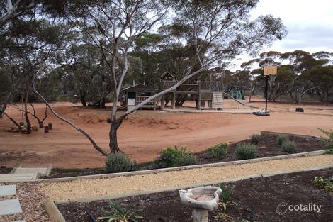 Property photo of 56 Slaughter Road Loveday SA 5345