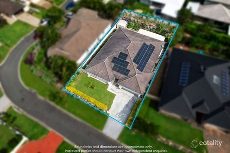 Property photo of 50 Highcrest Circuit Molendinar QLD 4214
