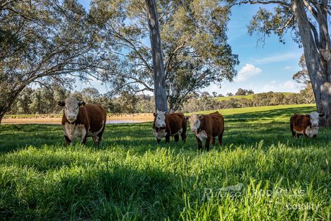 1231 Howes Creek Rd, Mansfield, VIC 3722