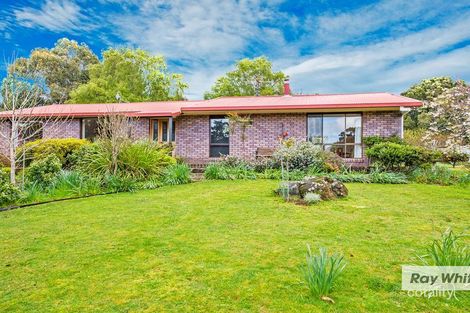 Property photo of 65 Tippetts Road Mount Hicks TAS 7325