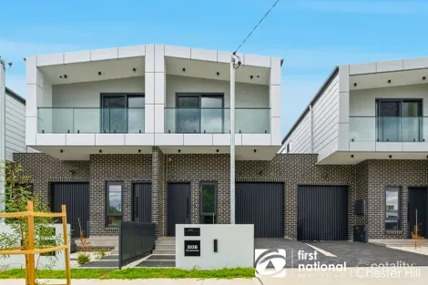 203b Wellington Rd, Chester Hill, NSW 2162
