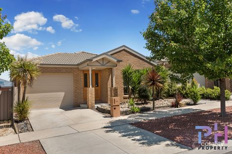 Property photo of 16 Sovereign Gardens Kangaroo Flat VIC 3555